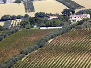 panorama Morro d'Alba